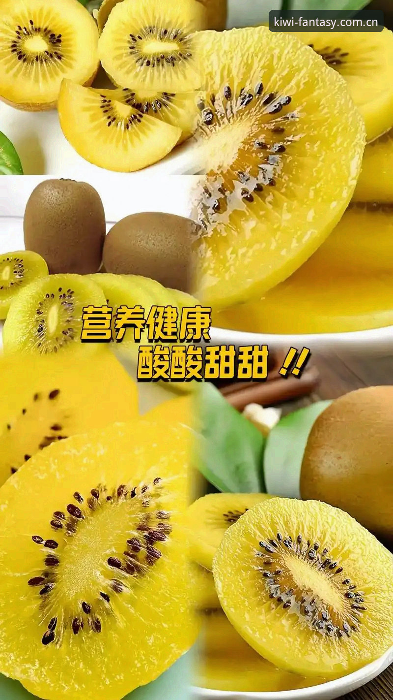 如何全面评测奇异果体育平台？一份实用的奇异果体育评测教程